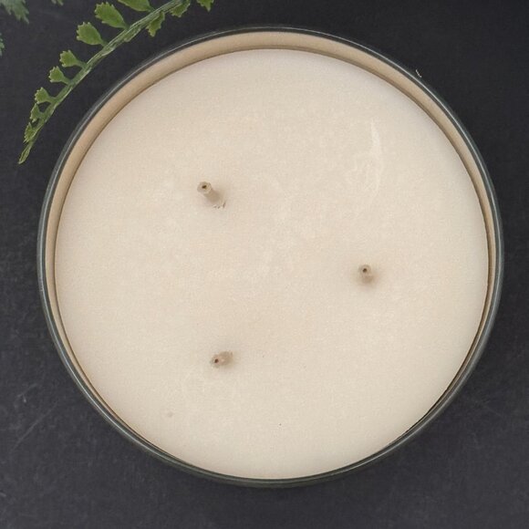 BBW Cozy Winter Cottage Bath & Body Works 3 Wick Candle - Picture 7 of 10